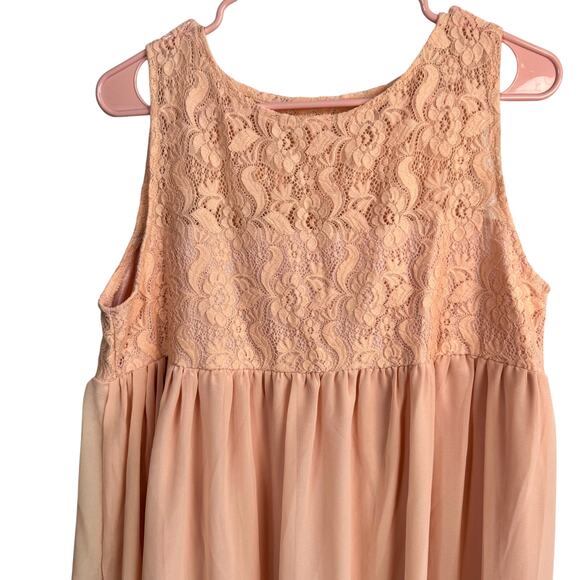 Blush Pink Lace Chiffon Maxi Gown Sheer Overlay Lined Empire Waist Size XL - Picture 2 of 6